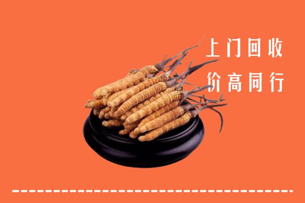 高价求购：泰安东平县回收散虫草