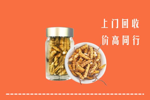 泰安东平县回收冬虫夏草