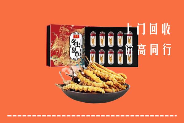 泰安东平县回收虫草